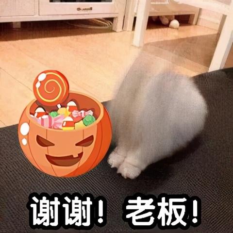 万圣节表情包万圣节,我不知道扮什么,就扮你的男女朋友吧