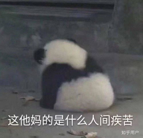 吃过减肥药的人,最后变成了什么样子