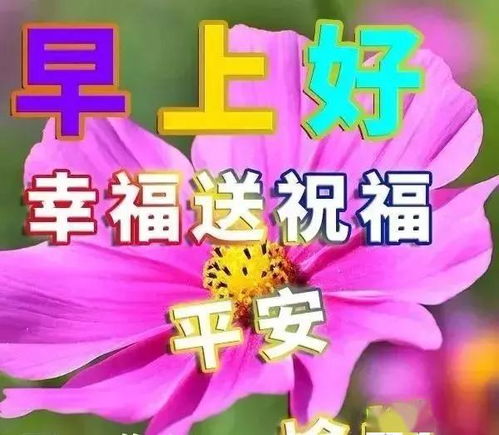 与其浪费精力抱怨,不如珍惜时间努力早安