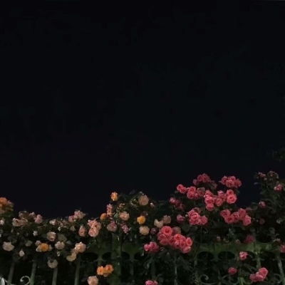 原宿风好看风景花朵好看滤镜调色风景静物头像我要个性网