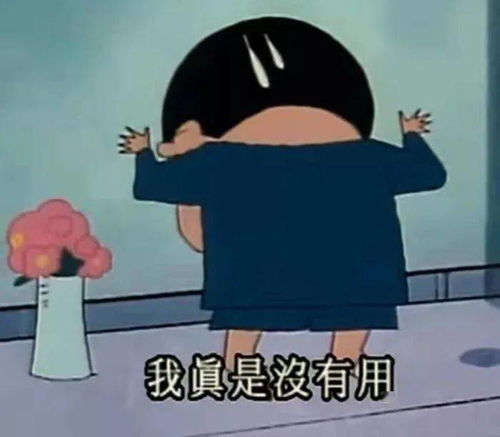 太骚了得吃药
