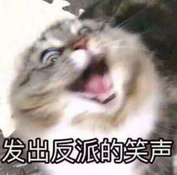 b站表情包怎么购买反派