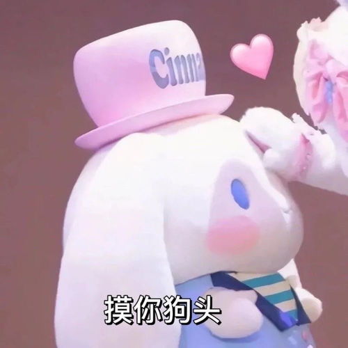 表情包这不是兔子是狗啦可爱狗子玉桂狗表情包