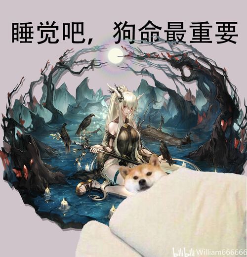 睡吧狗命最重要表情
