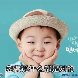 表情包丨世界上没有怕老婆的男人,只有爱老婆的男人