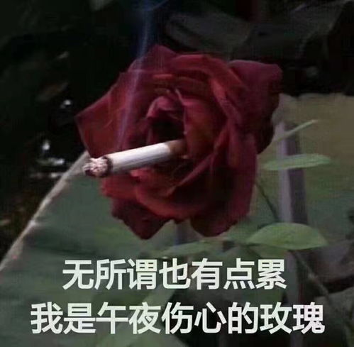 大开眼界女子为减肥冲动消费,月薪8000元却贷款近60万上私教课