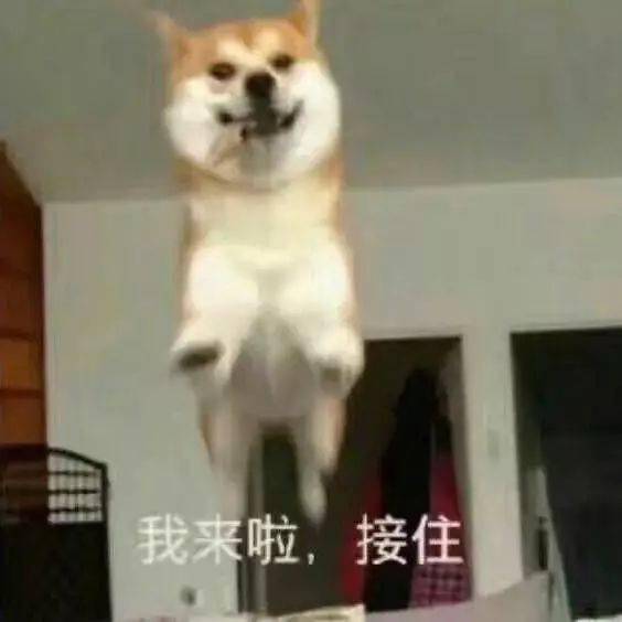 一学就会,一拍就废求求你别再祸害这么好看的妹子了......