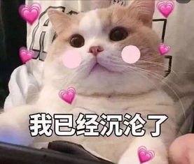 攻略丨辅助之神王昭君带领游荡起飞100层