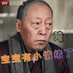 北京卫视情满四合院2017最潮流表情包来袭