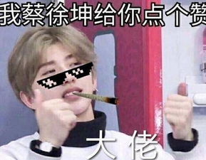 蔡徐坤下蛋表情包受虐