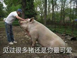 别人减肥vs南宁人减肥,看完哭着扇爆自己的肚腩