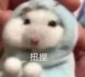 沙雕可爱表情包是的老板
