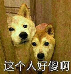 天津相声广播没有什么是勒夫吃不了的