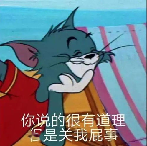 不乖,炖了你哦丨第135期喵表情