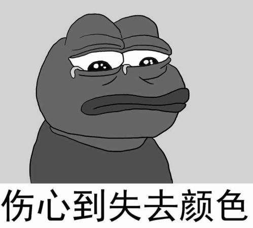 别再说拉布拉多好养了,养过的人心里没数吗