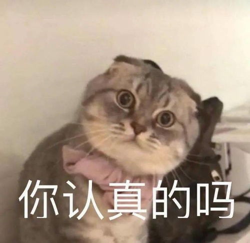 古力娜扎扎粉丝了
