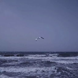 中年人风景照头像深陷其中