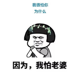 别再追我了表情包知道