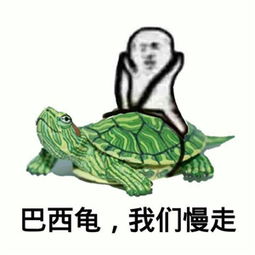 皮皮虾我们走是什么梗什么意思皮皮虾我们走表情包下载县域经济中国网