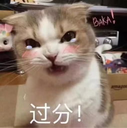 跟男票撒娇必备表情包,撩得ta小鹿乱撞,拿去调戏你家大猪蹄子