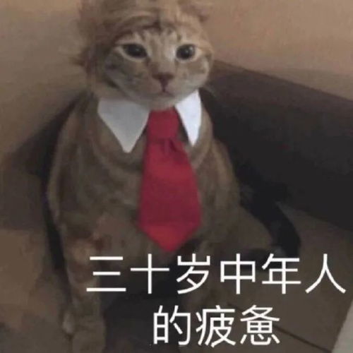沙雕表情包对金钱的渴望