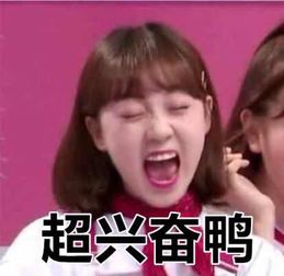 豆子喜提代言人被动物和粉丝集体玩坏表情包