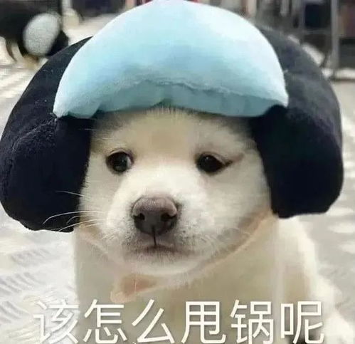 e句话看天下丨终团聚孙海洋夫妇顺利将孙卓接回家
