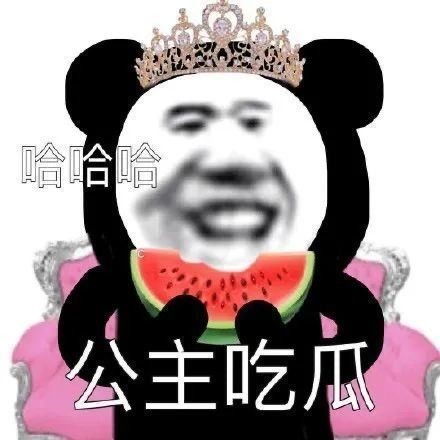 表情包沙雕表情包962期