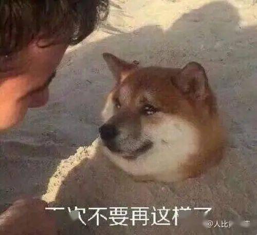 为什么不同科目的老师口头禅一模一样这也太真实了