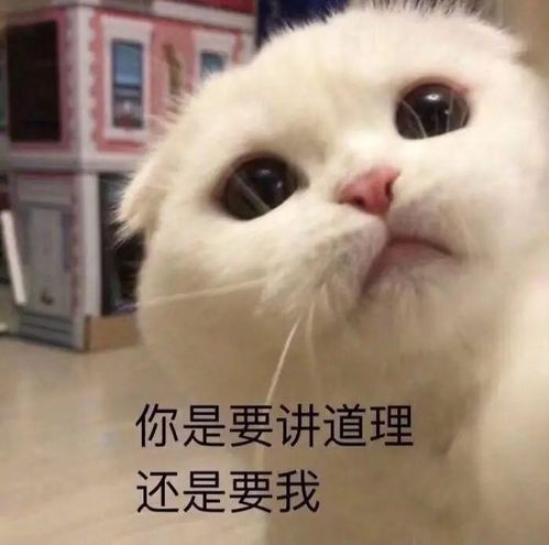 微信悠闲表情包是哪个tiger