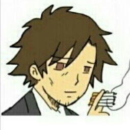 罗老师表情包动画飞机