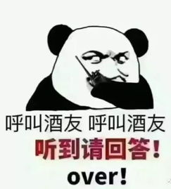 来一波喝酒约酒表情包,斗图