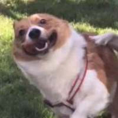 超级逗比的情侣头像奇葩恶搞的情侣头像一对