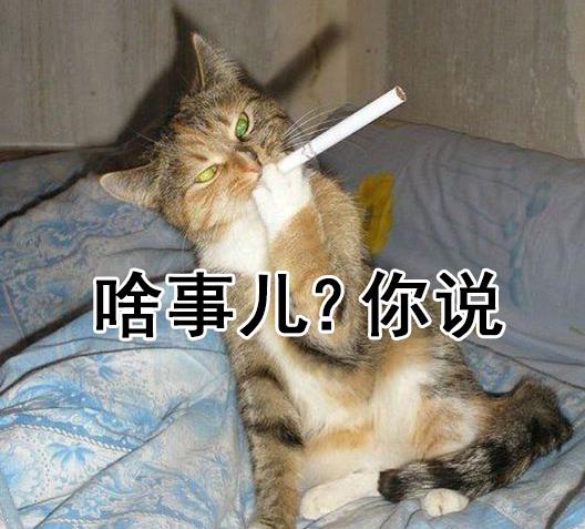 今天的表情包只有两个字你说我这边倾述欲瞬间就没了啊
