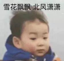 骂胖子表情包男朋友