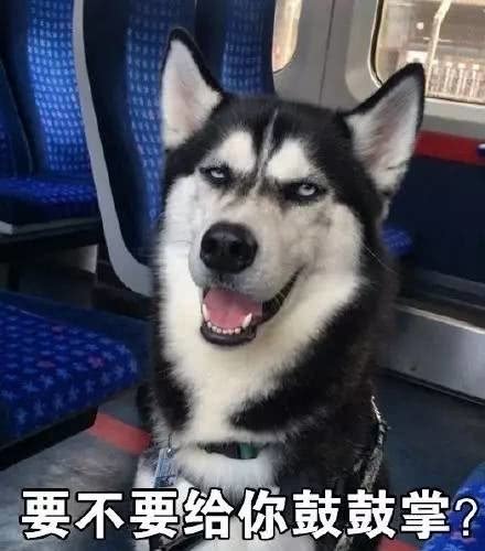 幽默段子笑话我一生气就往马桶里扔东西,今天我扔的是一个苹果