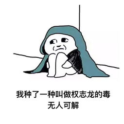gd权志龙聊天表情包权志龙老婆