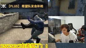 csgo冬瓜强表情包csgo