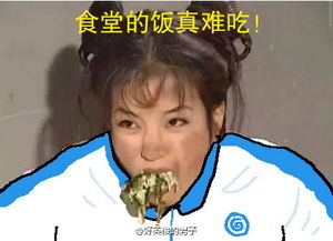 笑哭还珠格格校服版神p图走红容嬷嬷变身宿管阿姨