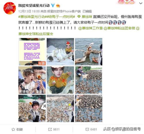 支持蔡徐坤扶贫,粉丝把海南咸鸭蛋买到脱销,海鸭我尽力下蛋了