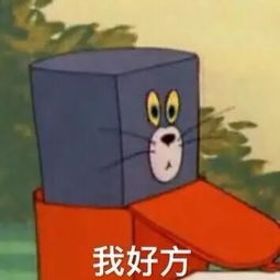 这是最全的猫和老鼠表情包快来抱走吧