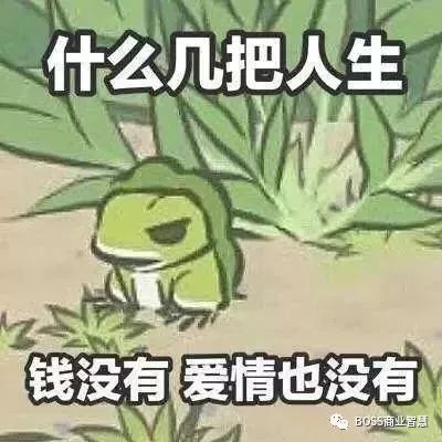 青蛙广表情包