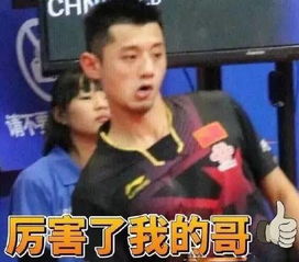 扯一扯丨高校运动场地是否应该对外免费开放