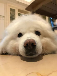 享受最后的晴天吧因为明天开始要下雨了