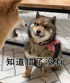 自从孩子上了幼儿园后,我每天都想哭