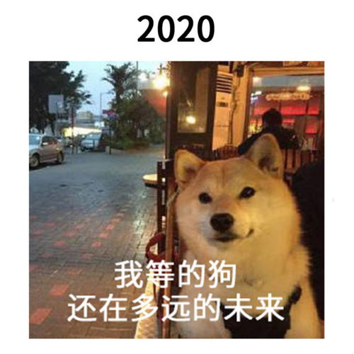 跨年,得有刘翔刘翔