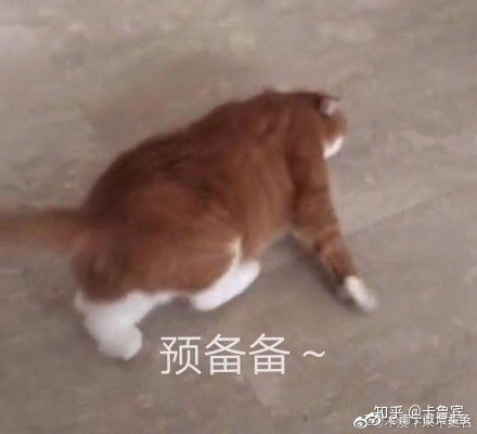 2020西南大学347应用心理专硕少干计划经验贴