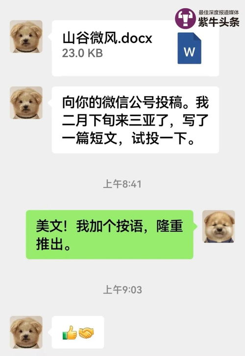 微商下单表情包图片文案