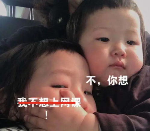 是什么让老师崩溃,学生流泪带你探索大型线上聚会