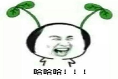 高中舍友睡觉时说的那些梦话网友哈哈哈笑出表情包